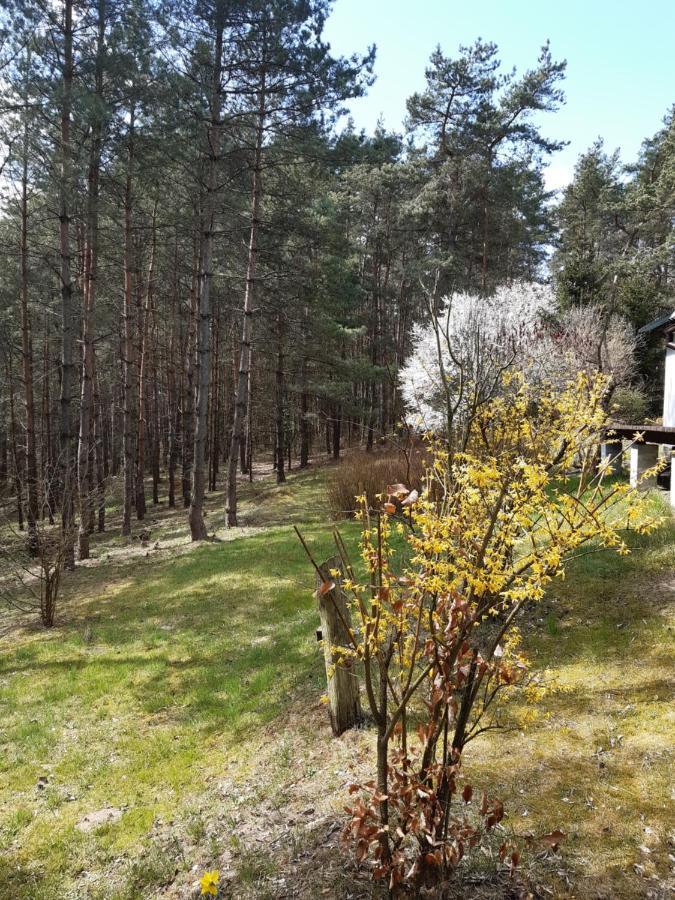 Villa Lesna Polana Górzno Exterior foto