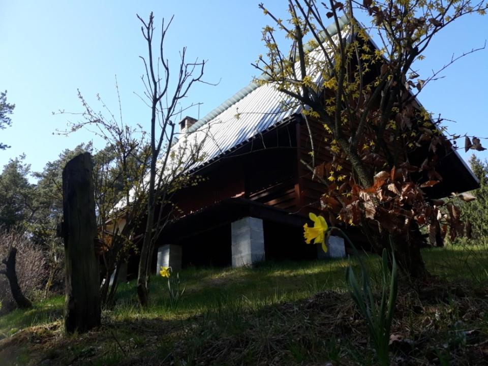 Villa Lesna Polana Górzno Exterior foto
